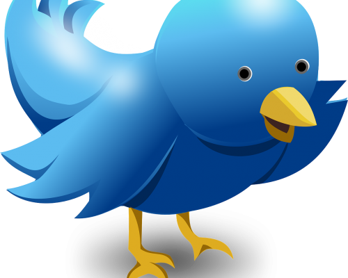Twitter Video