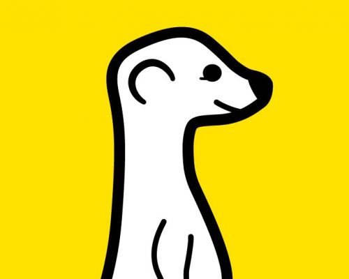 Meerkat App