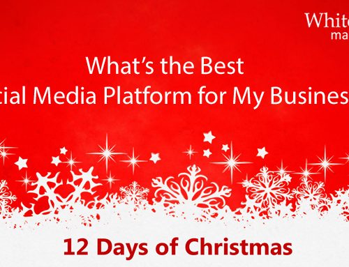 What’s the Best Social Media Platform for My Business?