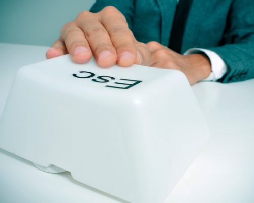seo for business