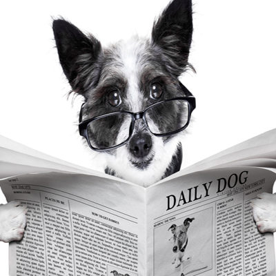optimising headlines